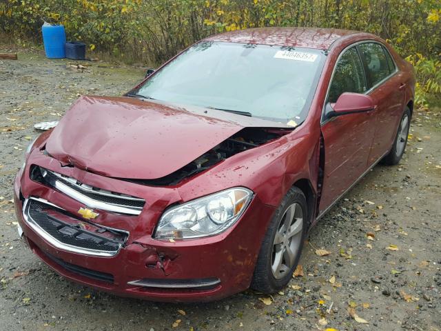 1G1ZJ57B19F243425 - 2009 CHEVROLET MALIBU 2LT MAROON photo 2