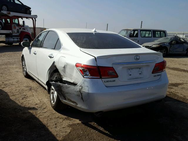 JTHBK1EG8A2399954 - 2010 LEXUS ES 350 WHITE photo 3