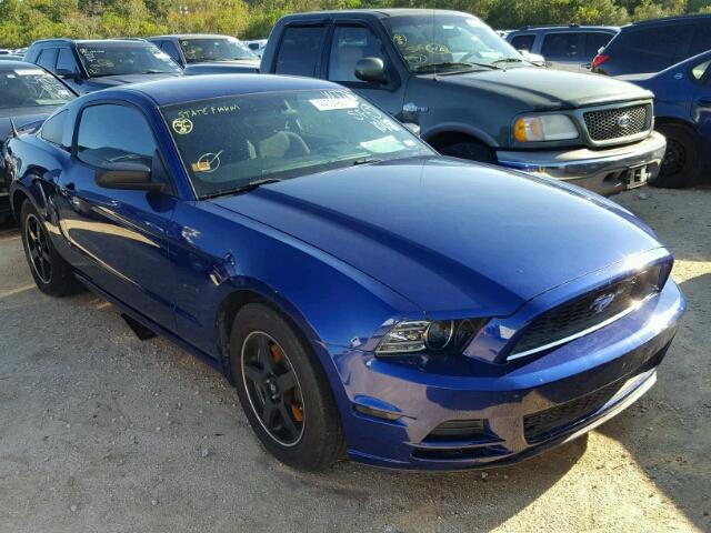 1ZVBP8AM0D5271358 - 2013 FORD MUSTANG BLUE photo 1