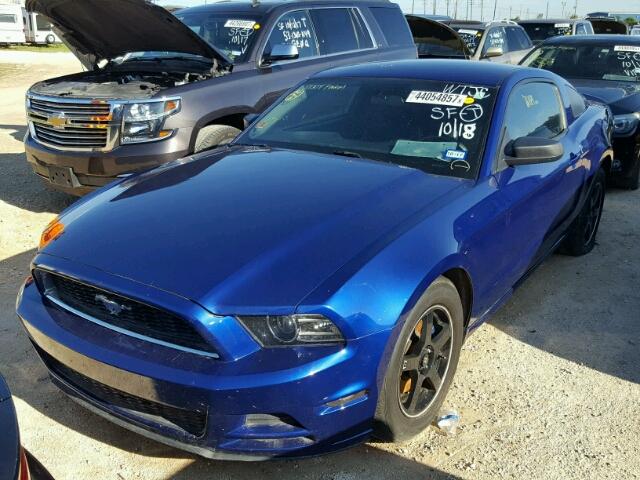 1ZVBP8AM0D5271358 - 2013 FORD MUSTANG BLUE photo 2