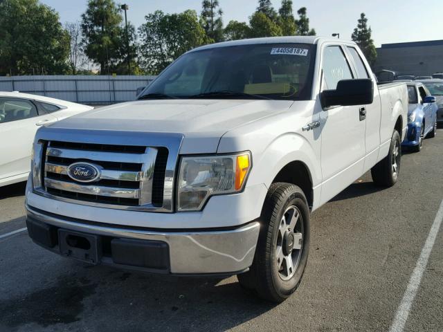 1FTEX1C81AFA03058 - 2010 FORD F150 WHITE photo 2