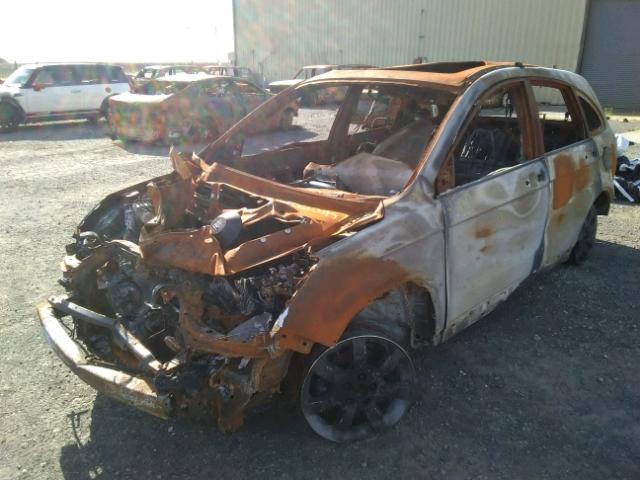 JHLRE48758C061603 - 2008 HONDA CR-V EXL BURN photo 2