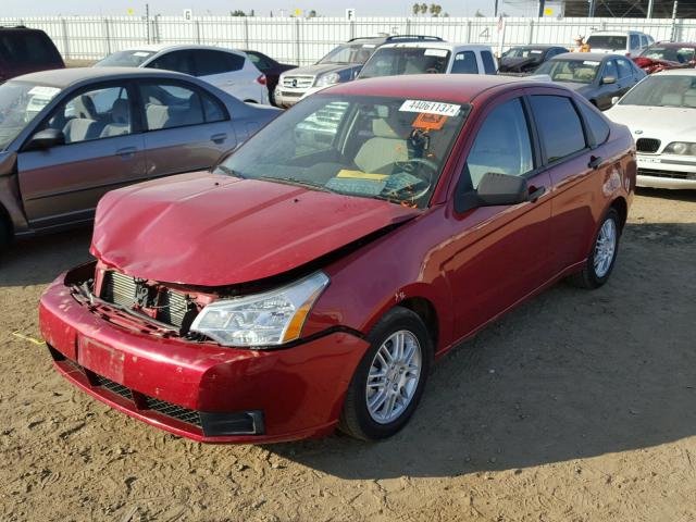 1FAHP3FN7BW150566 - 2011 FORD FOCUS SE RED photo 2