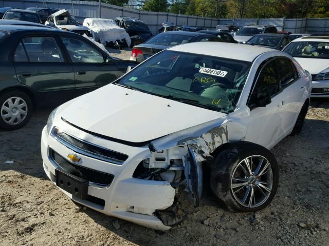 1G1ZA5E04CF388449 - 2012 CHEVROLET MALIBU LS თეთრი ფოტო 2