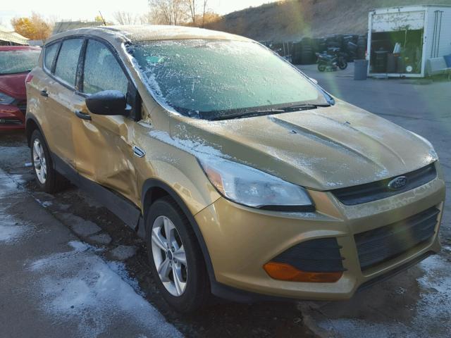 1FMCU0F78EUE22258 - 2014 FORD ESCAPE S TAN photo 1