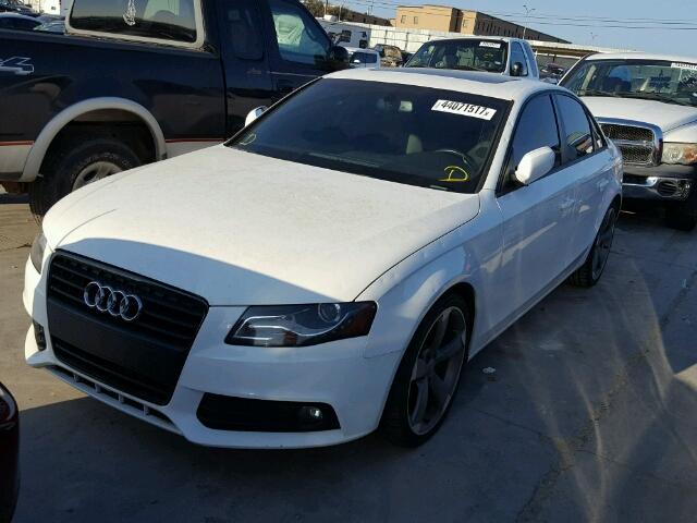 WAUEFAFL0BN037614 - 2011 AUDI A4 WHITE photo 2