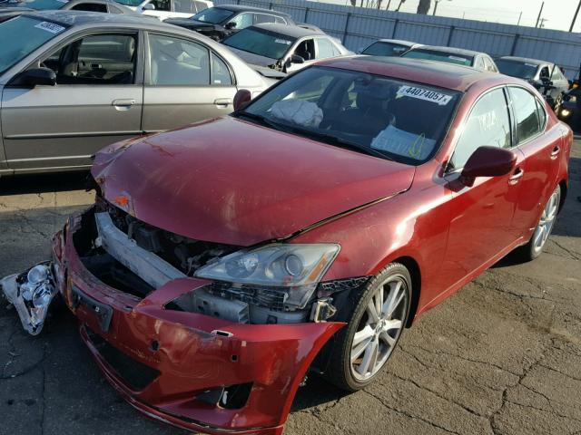 JTHBE262565000200 - 2006 LEXUS IS 350 RED photo 2