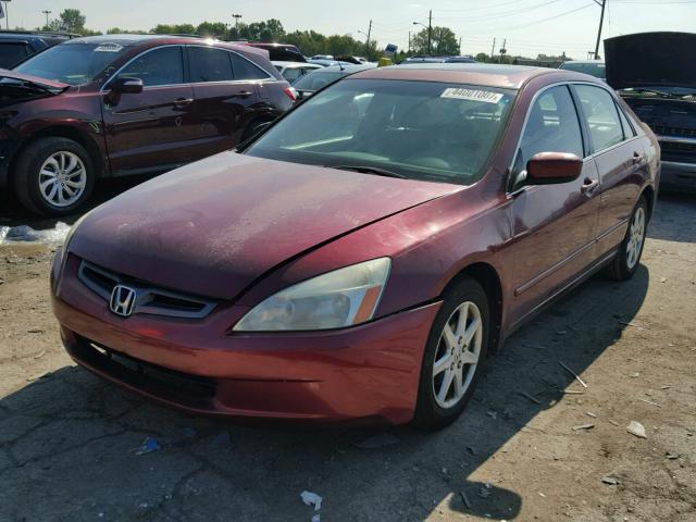 1HGCM665X3A088496 - 2003 HONDA ACCORD RED photo 2