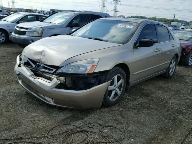 1HGCM56685A807802 - 2005 HONDA ACCORD GOLD photo 2