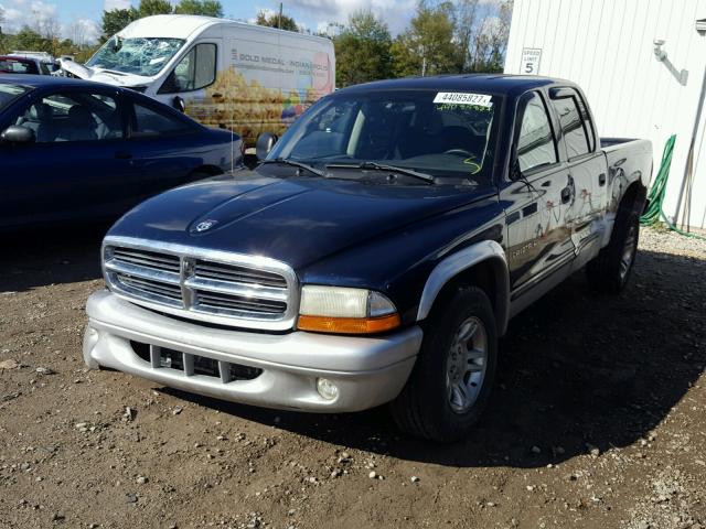 1B7HL48NX2S512681 - 2002 DODGE DAKOTA QUA BLUE photo 2