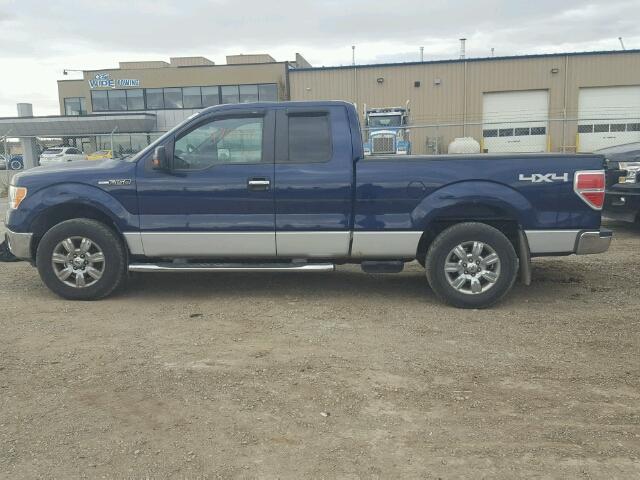 1FTRX14809FA43434 - 2009 FORD F150 SUPER BLUE photo 9