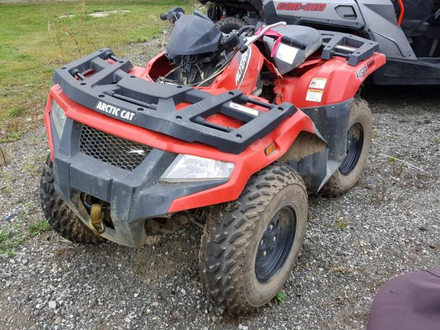 RFB16ATV3GK6P0899 - 2016 ARCTIC CAT ARTIC CAT RED photo 2