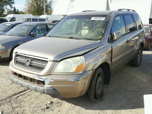 2HKYF18703H595402 - 2003 HONDA PILOT TAN photo 2