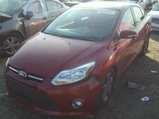 1FADP3F2XEL450709 - 2014 FORD FOCUS SE RED photo 2