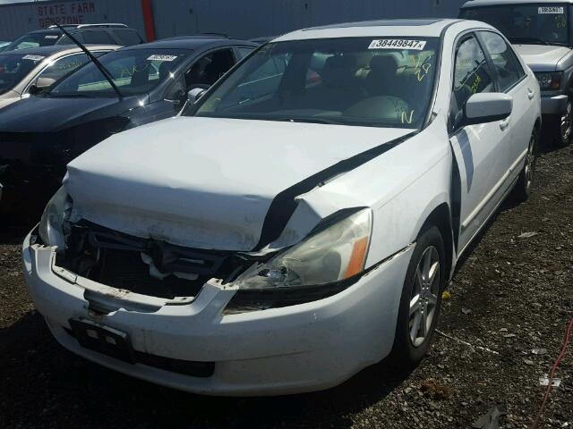 1HGCM66533A079414 - 2003 HONDA ACCORD WHITE photo 2