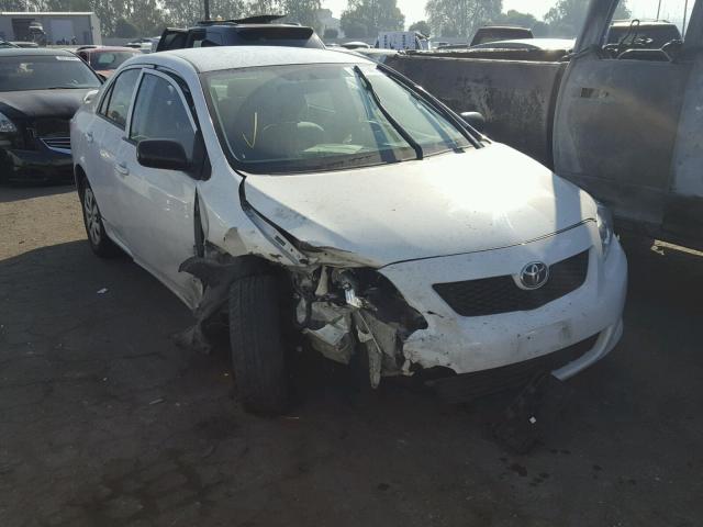 1NXBU4EE5AZ338458 - 2010 TOYOTA COROLLA BA WHITE photo 1