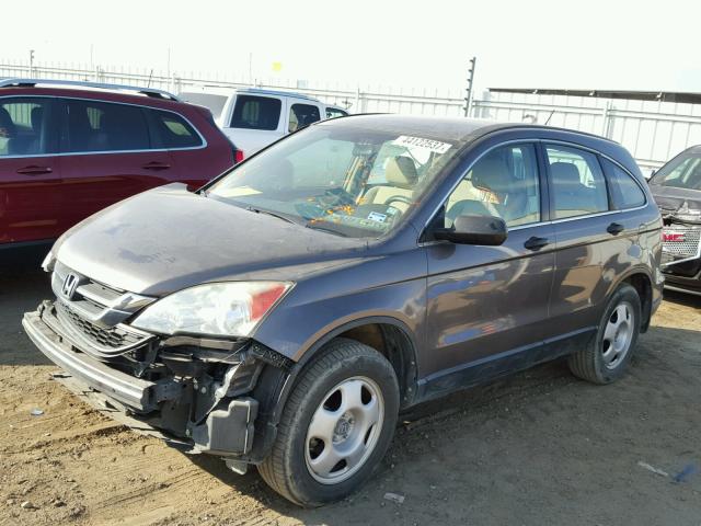 3CZRE3H31BG704449 - 2011 HONDA CR-V LX BROWN photo 2