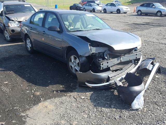 1G1ZT52885F102299 - 2005 CHEVROLET MALIBU LS Сұр фото 1