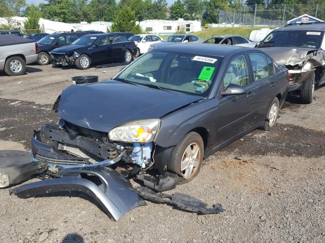 1G1ZT52885F102299 - 2005 CHEVROLET MALIBU LS Сұр фото 2