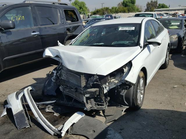 5NPE24AF8GH397125 - 2016 HYUNDAI SONATA SE WHITE photo 2