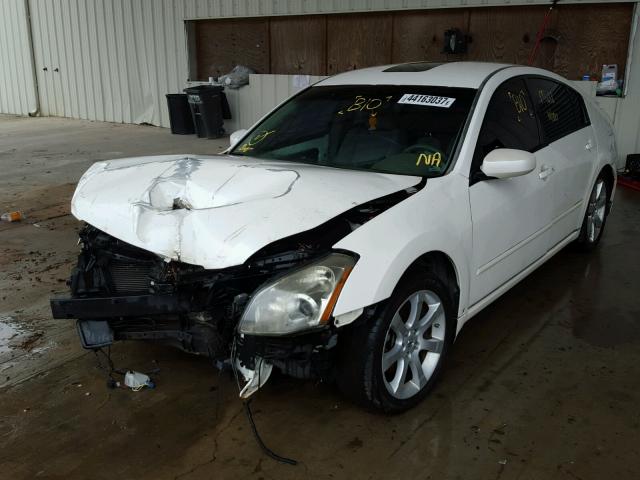 1N4BA41E38C808902 - 2008 NISSAN MAXIMA WHITE photo 2