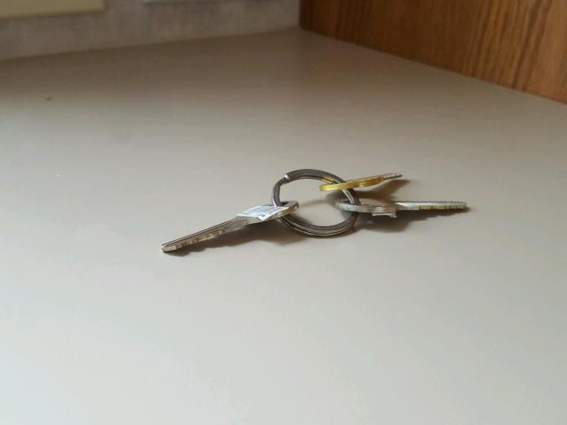 4WY200L26Y1008122 - 2000 TRAIL KING R VISION 白色 照片 8