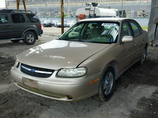 1G1NE52J43M616669 - 2003 CHEVROLET MALIBU LS Qızıl foto 2