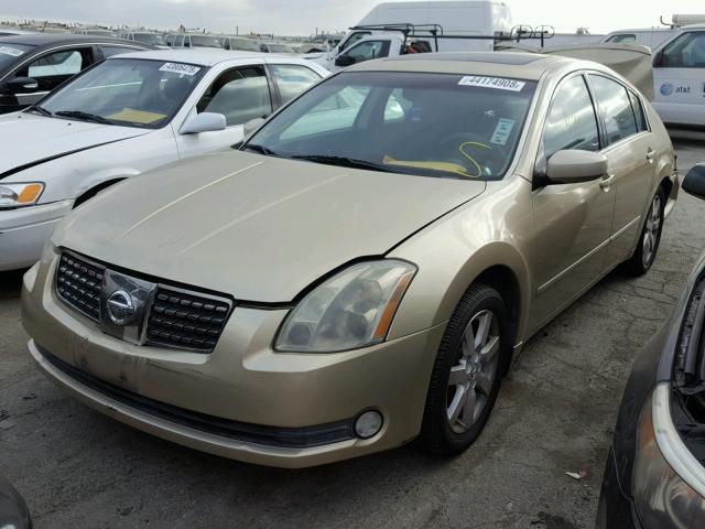 1N4BA41E14C838247 - 2004 NISSAN MAXIMA SE GOLD photo 2