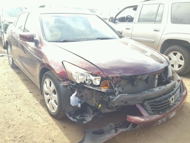 JHMCP26819C003260 - 2009 HONDA ACCORD BURGUNDY photo 1