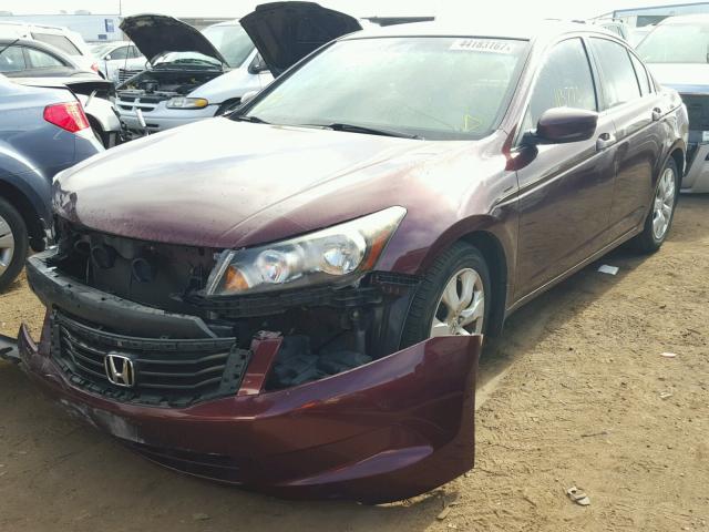 JHMCP26819C003260 - 2009 HONDA ACCORD BURGUNDY photo 2