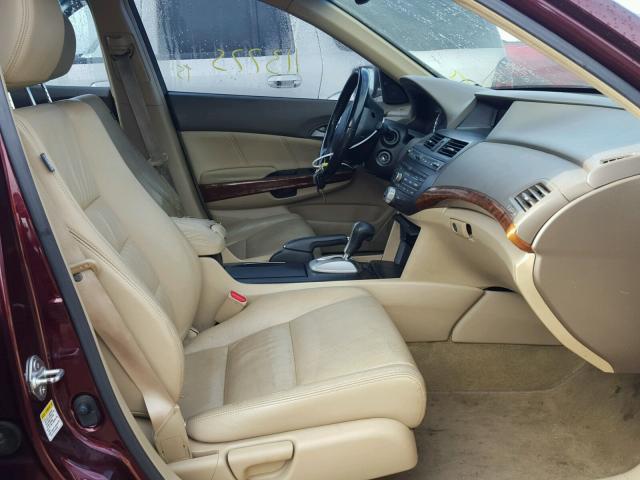 JHMCP26819C003260 - 2009 HONDA ACCORD BURGUNDY photo 5