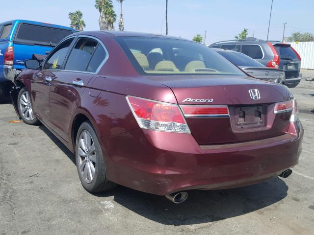 1HGCP3F79BA024455 - 2011 HONDA ACCORD EX BURGUNDY photo 3