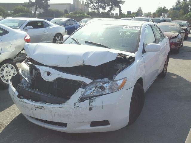 4T1BE46K29U862339 - 2009 TOYOTA CAMRY BASE თეთრი ფოტო 2