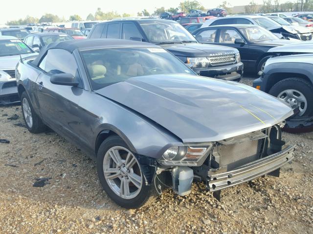 1ZVBP8EN6A5171537 - 2010 FORD MUSTANG GRAY photo 1