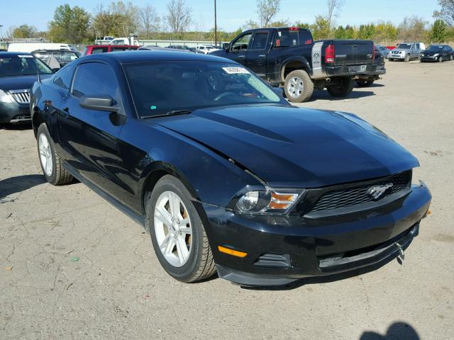 1ZVBP8AN1A5156238 - 2010 FORD MUSTANG BLACK photo 1