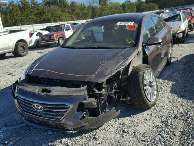 5NPE34AF6FH058763 - 2015 HYUNDAI SONATA SPO BROWN photo 2