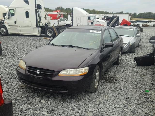 1HGCG5657WA186925 - 1998 HONDA ACCORD EX PURPLE photo 2