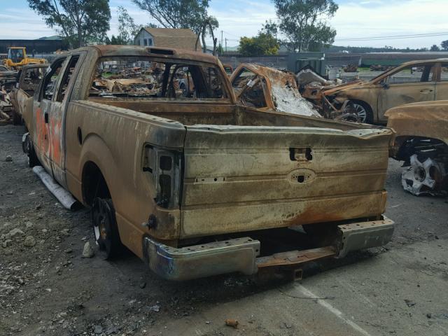 1FTFX1CV8AKE50052 - 2010 FORD F150 SUPER BURN photo 3