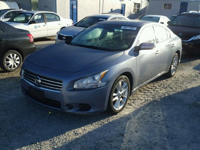 1N4AA5AP0AC853109 - 2010 NISSAN MAXIMA BLUE photo 2