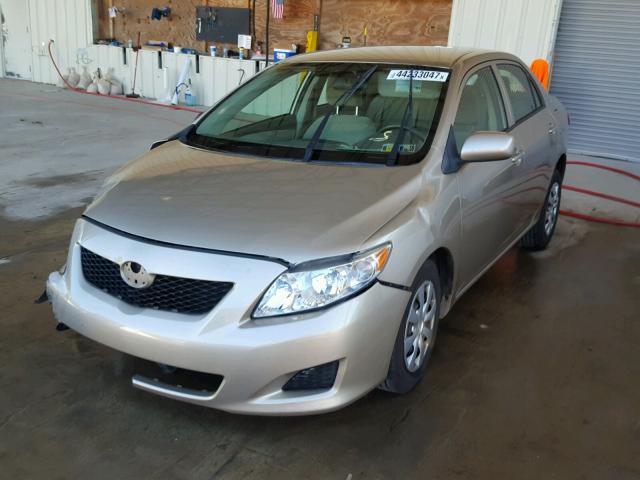 1NXBU4EE2AZ315851 - 2010 TOYOTA COROLLA GOLD photo 2