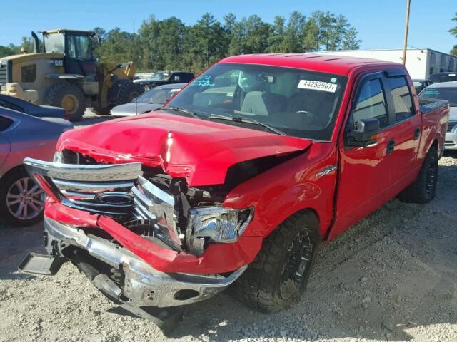 1FTFW1EF7CFB32315 - 2012 FORD F150 SUPER RED photo 2