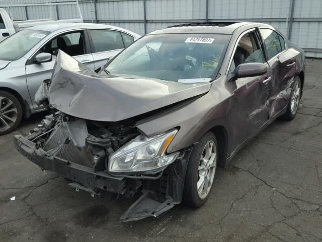 1N4AA5AP9DC807976 - 2013 NISSAN MAXIMA S BROWN photo 2