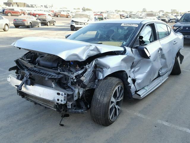 1N4AA6AP6HC368313 - 2017 NISSAN MAXIMA 3.5 SILVER photo 2