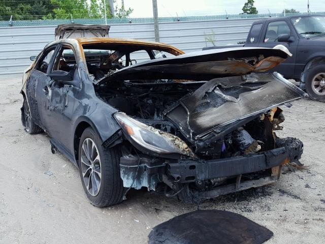 4T1BK1EB8GU200559 - 2016 TOYOTA AVALON XLE BLACK photo 1