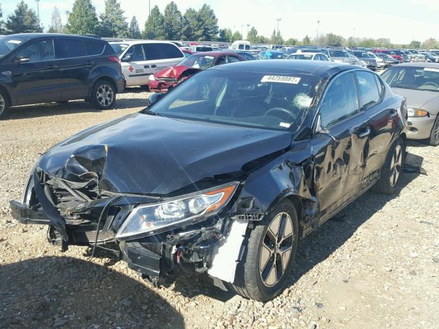 KNAGM4AD4D5058016 - 2013 KIA OPTIMA HYB BLACK photo 2