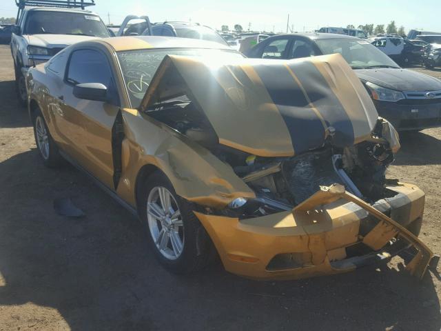 1ZVBP8AN2A5132692 - 2010 FORD MUSTANG YELLOW photo 1