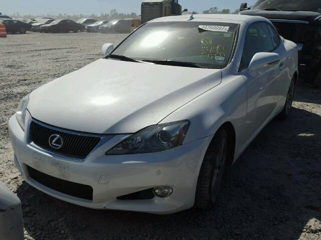 JTHFF2C21A2511156 - 2010 LEXUS IS 250 WHITE photo 2