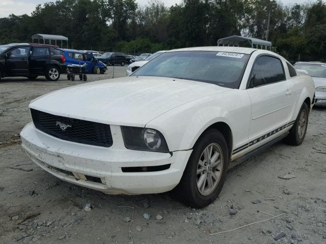 1ZVFT80N455117129 - 2005 FORD MUSTANG WHITE photo 2