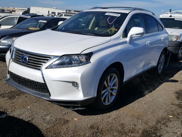 2T2BC1BA8FC006599 - 2015 LEXUS RX 450H WHITE photo 2