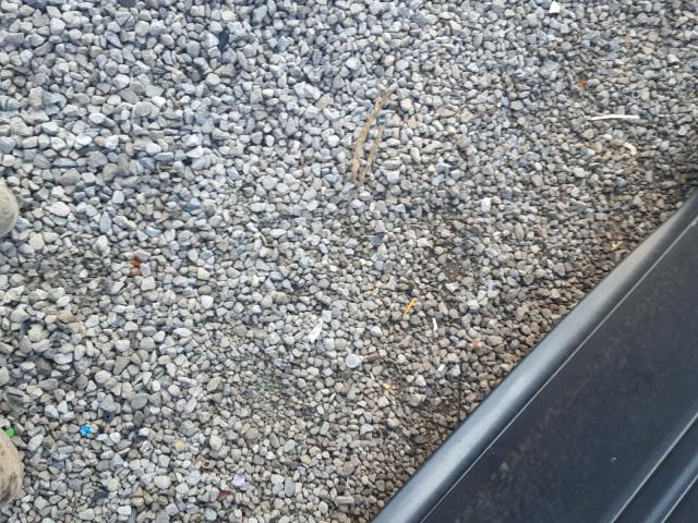 2G2WP552061129354 - 2006 PONTIAC GRAND PRIX GRAY photo 10